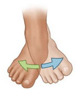 Lateral foot movement.png